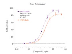 Cayman Chemical&nbsp;FIbroblast Growth Factr Rece