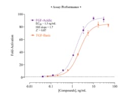 Cayman Chemical&nbsp;FIbroblast GRW Factr Rece 384