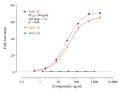 Cayman Chemical&nbsp;FIbroblast GRW Factr Rece 384