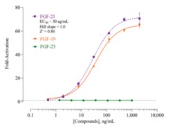 Cayman Chemical&nbsp;FIbroblast Growth Factr Rece