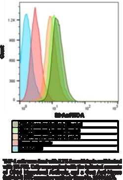 Cayman Chemical&nbsp;CD1d MoncLNal ANTIBDYClo 100ug