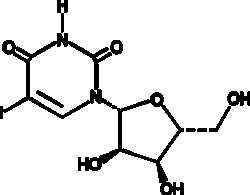 Cayman Chemical&nbsp;5-IodourIdIn 5g