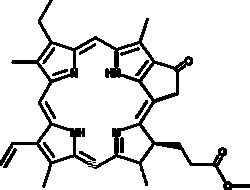 Cayman Chemical&nbsp;PyropheophorbIde a methyl25mg