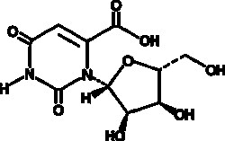 Cayman Chemical&nbsp;ANTIBODY OrotIdIn 10mg