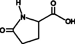 Cayman Chemical&nbsp;DL-PyroglutamIc AcId 250g