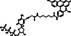 Cayman Chemical FluoresceIn-12-dCTP 25nmol