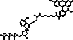 Cayman Chemical FluoresceIn-12-dATP 25nmol
