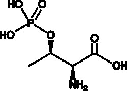Cayman Chemical&nbsp;O-Phospho-L-ThreonIn 1g