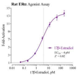 Cayman Chemical Rat Strogen Receptr Alpha R 96, Quantity: Each of 1