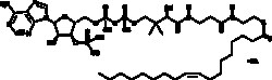 Cayman Chemical&nbsp;OleoylCoenzyme AsodIM sal 10mg
