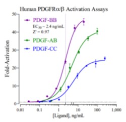 Cayman Chemical&nbsp;Platelet-Derived Growth Factor Receptors α and β Reporter Assay System, 96 Well
