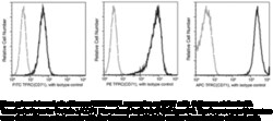 Cayman Chemical&nbsp;Transferrin Receptor Protein 1/CD71 Monoclonal Antibody (PE) (Clone 04), 25 test