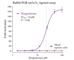 Cayman Chemical&nbsp;Rabbit Progesterone Receptor Reporter Assay System, 96 Well