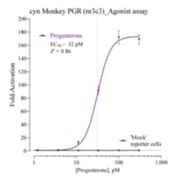 Cayman Chemical&nbsp;Cynomolgus Monkey Progesterone Receptor Reporter Assay System, 96 Well