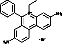 Cayman Chemical&nbsp;EthIdIumbromIde 1g