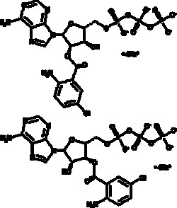 Cayman Chemical 2 3-O- 5-ChloronthrnIloy 3.3mg