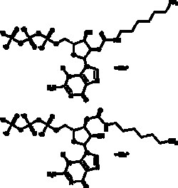 Cayman Chemical 2 3O 6AmInohexylcarbamo 3.3mg
