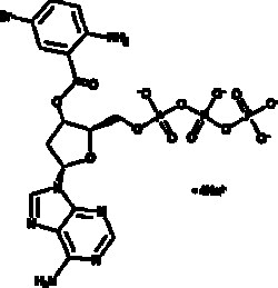 Cayman Chemical&nbsp;3-O- 5-BromonthrnIloyl-2 700ug