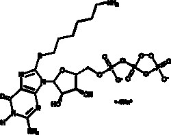 Cayman Chemical&nbsp;8 6AmInohexylthIogunosIn 700ug