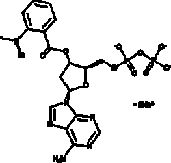 Cayman Chemical 2Deoxy3O Nmethylnthr 2.7mg