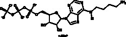 Cayman Chemical&nbsp;N6 4AmInobutyladenosIn5 2.9mg