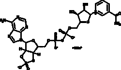 Cayman Chemical&nbsp;2 3cyclIc NADP sodIum sa 7.3mg