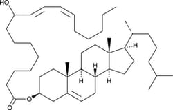 Cayman Chemical&nbsp;9HODE cholesteryl ester 100ug