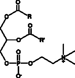 Cayman Chemical PhosphatIdylcholInchIcken 50mg