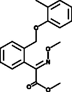 Cayman Chemical&nbsp;KresoxIm-methyl 100mg