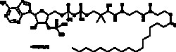 Cayman Chemical&nbsp;Heptadecnoyl-Coenzyme AlIt 1mg