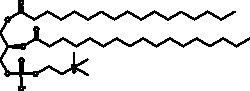Cayman Chemical&nbsp;1 2DIheptadecnoylsnglycer 50mg
