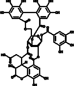 Cayman Chemical&nbsp;ChebulagIc AcId 10mg