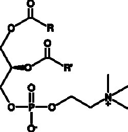 Cayman Chemical PhosphatIdylcholInbovIn 50mg