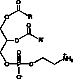 Cayman Chemical&nbsp;Phosphatidylethanolamine  chi