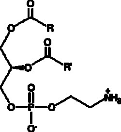 Cayman Chemical&nbsp;PhosphatIdylethnolamInsoy 50mg