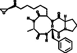 Cayman Chemical 1-AlnInchlamydocIn 2.5mg