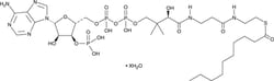 Cayman Chemical&nbsp;Decnoyl-Coenzyme Ahydrate 5mg