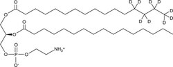 Cayman Chemical&nbsp;1PalmItoyld92PalmItoylsn 100ug