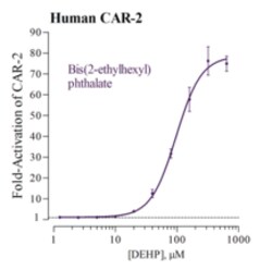 Cayman Chemical Humn ConstItutIve ndrostn 3x32