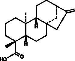 Cayman Chemical&nbsp;KaurenoIc AcId 10mg