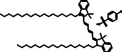Cayman Chemical&nbsp;DID4chLRobenzensulfonAT 10mg