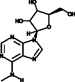 Cayman Chemical&nbsp;N6-MethyladenosIn 250mg