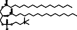 Cayman Chemical&nbsp;1 2DIpalmItoyl13Csnglycer 10mg