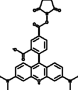 Cayman Chemical&nbsp;5CarytetramthylrhodamIn 10mg