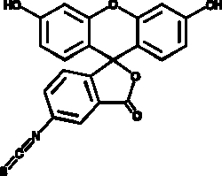 Cayman Chemical&nbsp;FluoresceIn 5-IsothIocynate 1g