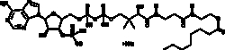 Cayman Chemical&nbsp;OctnoylCoenzyme AsodIum s 10mg