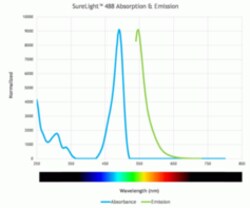Cayman Chemical&nbsp;SureLIght488 NHS ester 100ug