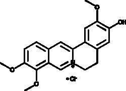 Cayman Chemical JatrorrhIzInchlorIde 10mg