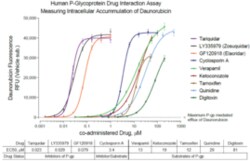 Cayman Chemical Humn PGlycoproteIn  MDR1 D 96