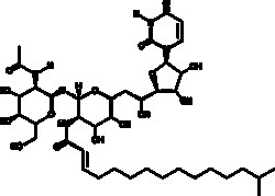 Cayman Chemical&nbsp;TunIcamycIn 16 1 MIxture 10mg
